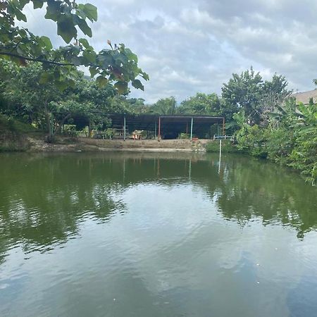 Cabanas Ecoturisticas Y Club Gaira Tayrona Villa Santa Marta  Eksteriør bilde