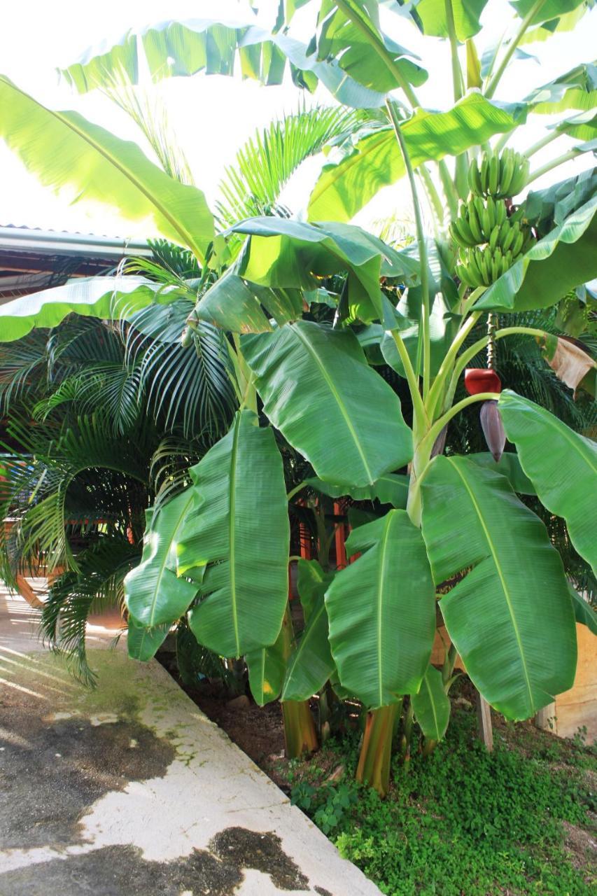 Cabanas Ecoturisticas Y Club Gaira Tayrona Villa Santa Marta  Eksteriør bilde