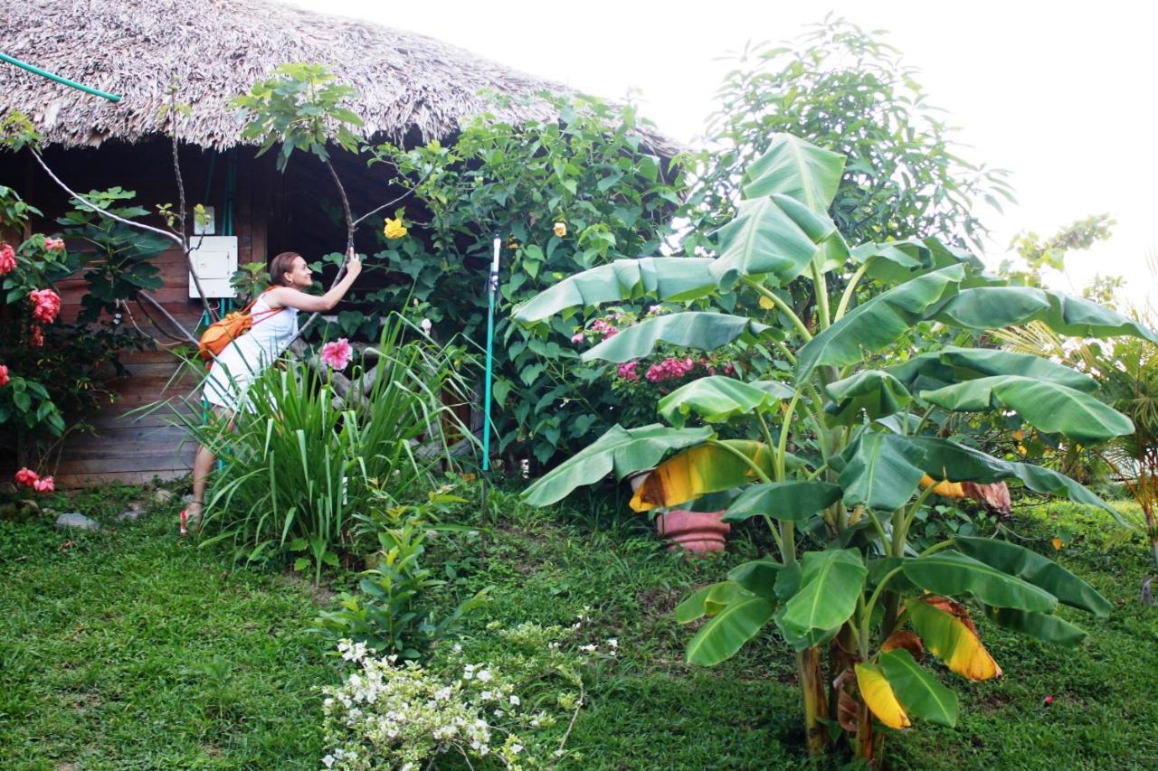 Cabanas Ecoturisticas Y Club Gaira Tayrona Villa Santa Marta  Eksteriør bilde